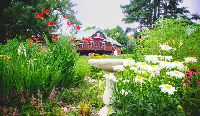 Entire Home located in historical district