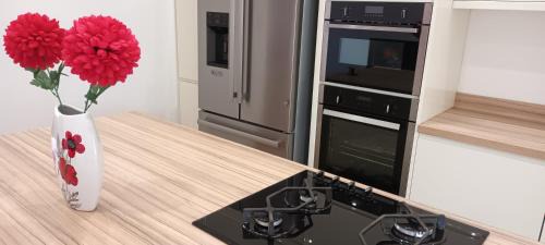 Entire two bedroom modern house near beach - Durham City