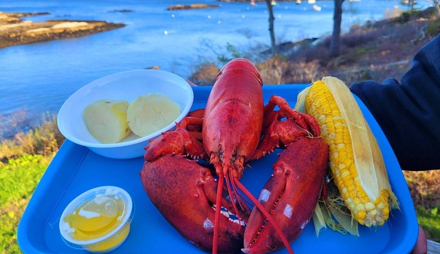 Experience coastal charm at Merwick Cottage in Georgetown, ME, with 3 bedrooms and waterfront views.