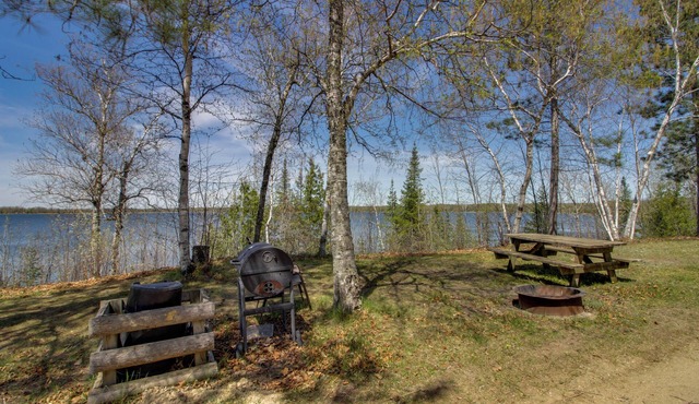 Family Escape on Gull Lake! Dock/Launch Access