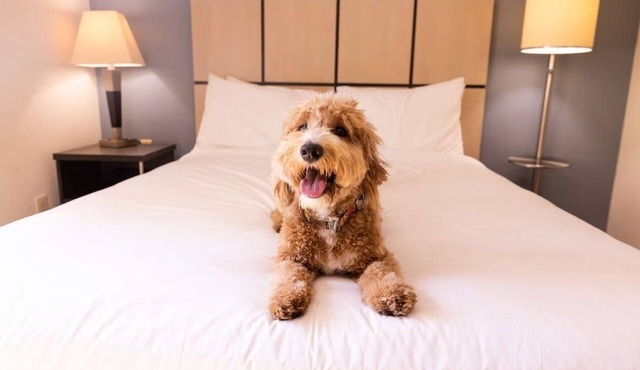 Family-Friendly Stay | Kitchens Near Freedom Trail & Quincy Market | 3 Units