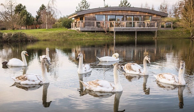 Flora - a lodge that sleeps 6 guests in 3 bedrooms