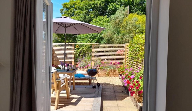 Forest Palms Studio The New Forest National Park