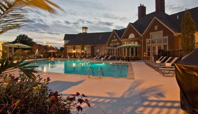 Forest View 2BR | Fast WiFi | W/D | Pool | Gym!