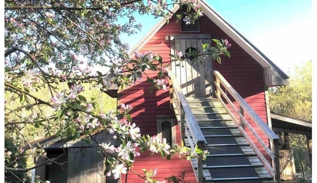 Genuine Farm experience! Barn loft on Organic Farm—rooster and chickens below!