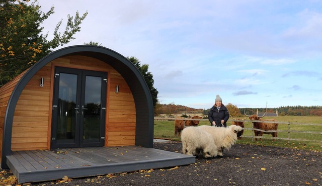 Glampods - 5 Berth Glamping Pod Elgin