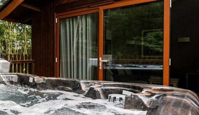 Glentress Forest White Willow Premium Valley View