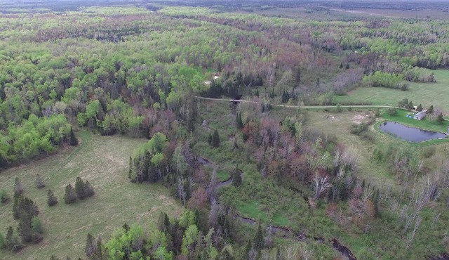 Goldade Acres 320 acres + Delirium Wilderness = Great place to vacation!