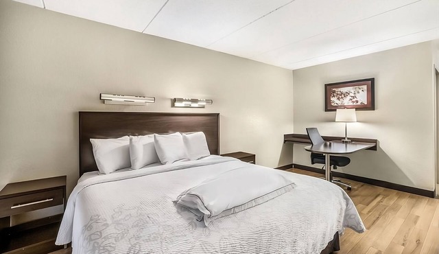 Great Find! 3 Budget-Friendly Units! Pet-Friendly, Minutes to Stone Zoo!
