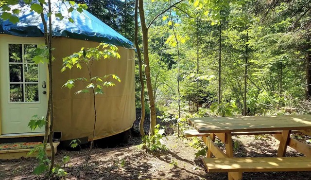 Great Lakes Yurt Camp: Bearadise Yurt