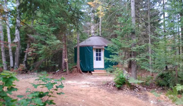 Great Lakes Yurt Camp: Kingfisher Yurt