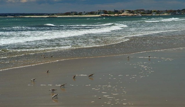 Great weeks in Aug and Sept nLess than 5 min walk to beach at end of street