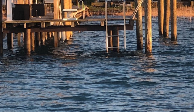 Harsens Island Waterfront Lodge on DOUBLE Lot & Dockage, swimming, and parking