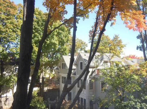 Harvard Square Home in Heart of Cambridge