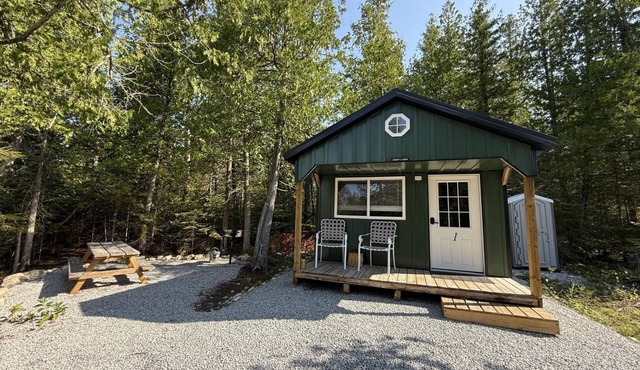 Henry's Cabin - Johnswood Off Grid Cabins on Drummond Island