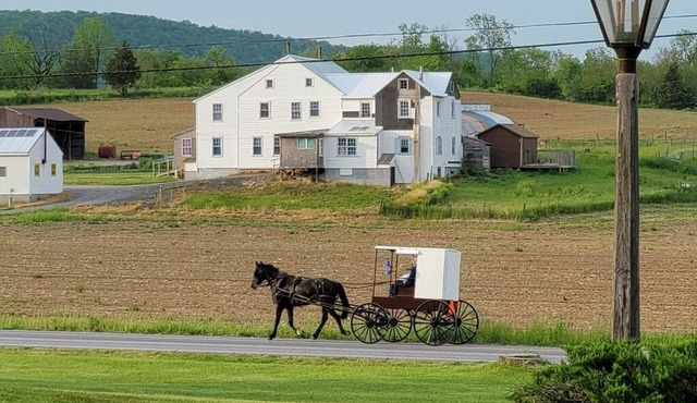 Historic Farmhouse Barn Tavern Near Penn State