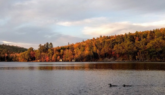 Howard Pond - Family-Friendly And Pet-Friendly Quiet Home