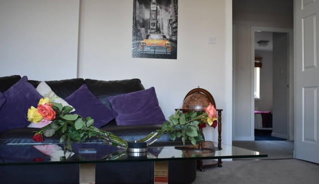 Immaculate cosy flat next to Holyrood park
