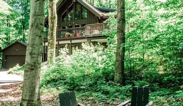 Incredible Cottage with Private Beach and Indoor and Outdoor Swimming Pool in Bellaire, Michigan
