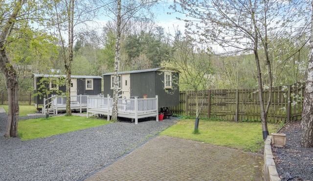 Joseph's Hide - UK43570