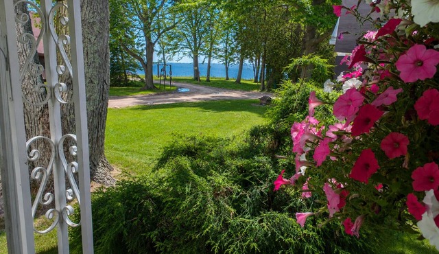 Lake Huron Views Large Porch Private Beach Access Sleeps 8 Dogs OK