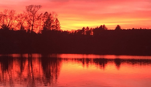Lake magic and cozy combined in Wisconsin woods. Something for everyone!