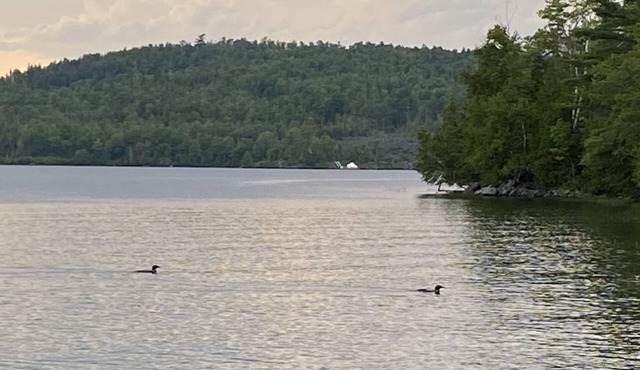 Lakefront cottage with privacy and charm!