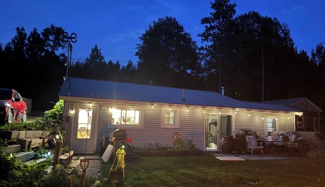 Lakefront Cottage with Water Trampoline, Pet Friendly, Near Ferris and CMU