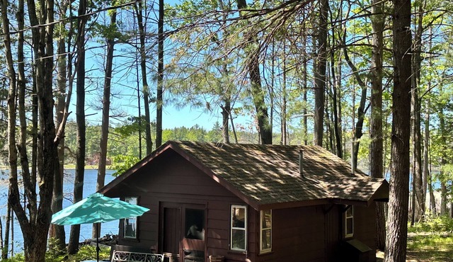 LAKEFRONT MINI CABIN private acre of Woods 🏞️