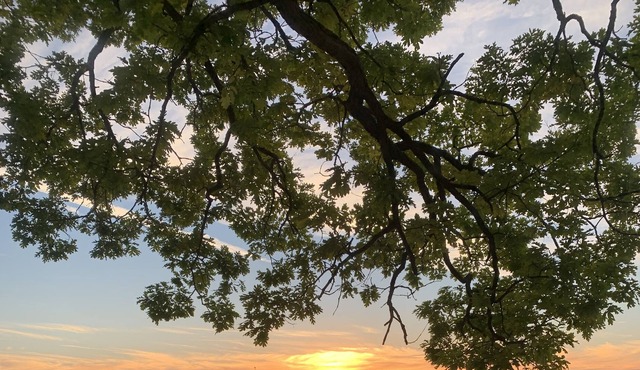 Lakeside Sunrise Retreat