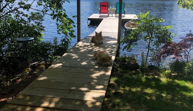 Lazy Days - Sunny Dock - Great Swimming & Fishing - close to Camden
