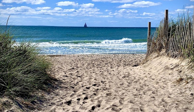 Let the Sea Set You Free