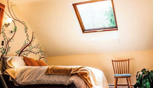 Long Mountain 4BR 1Br Suite in Amherst