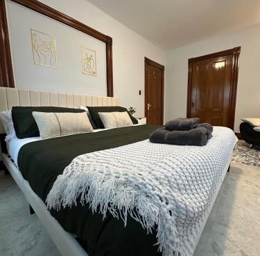Lovely 3 BR Entire Home Steps Away from Green Line and Red Line T Stations & Tufts Univ at Somerville Boston