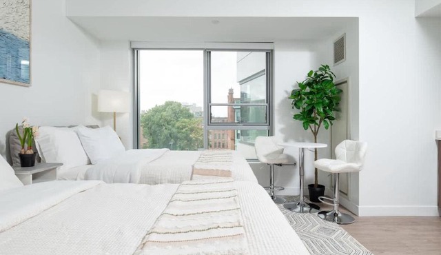 Lux Studio 2xQueen beds Gym near MIT Harvard