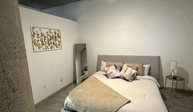 Luxury Cozy Loft Downtown STL