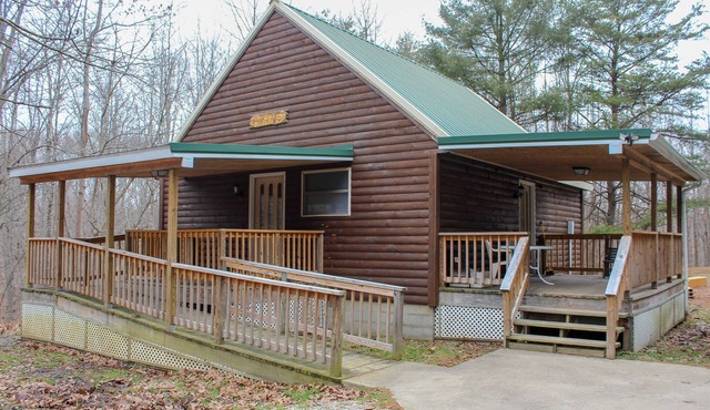Luxury-Hawk's Nest Cabin-Forest View-Cabin-Private Bathroom