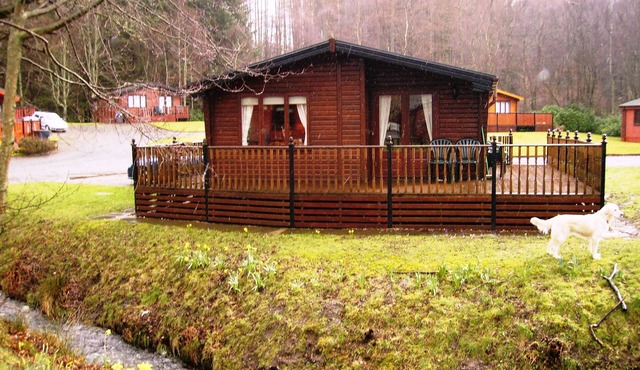 Luxury Log Cabin On The Banks Of Loch Lomond - Loch Lomond Chalet