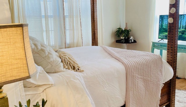 Luxury Spacious Historic Home - College Hill - 2mi. to Downtown