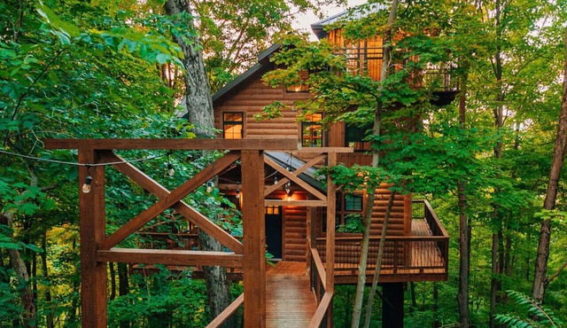 Luxury Treehouse Nestled in Trees of Amish Country
