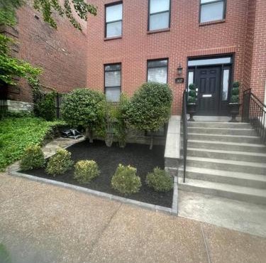 Ma maison Soulard Prime Location!