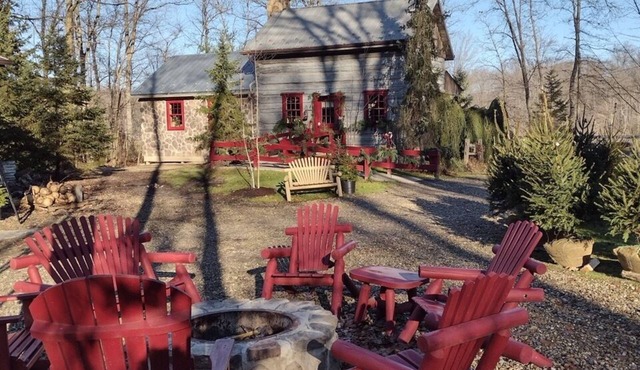 Ma & Pa's "Wild at Heart" Cabin Outdoor Bath Trail Firepit Parks & Wineries