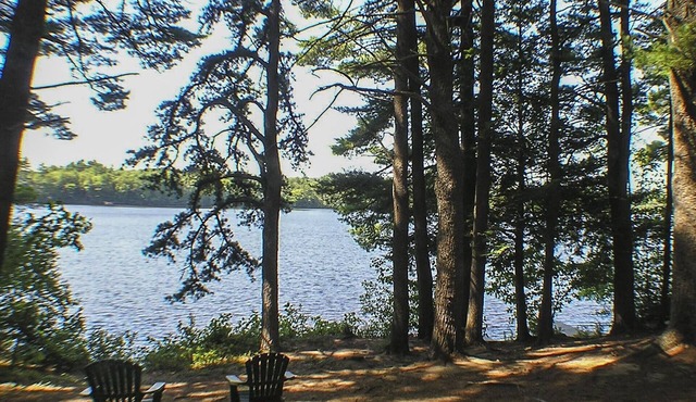 Maine Cabin on Beautiful, Quiet Lake.Close to Ocean
