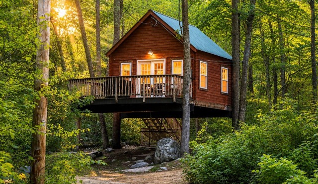 Maine Treehouse-The Spruce Suite