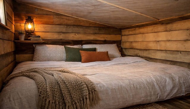 Maple, the tiny cabin in the woods