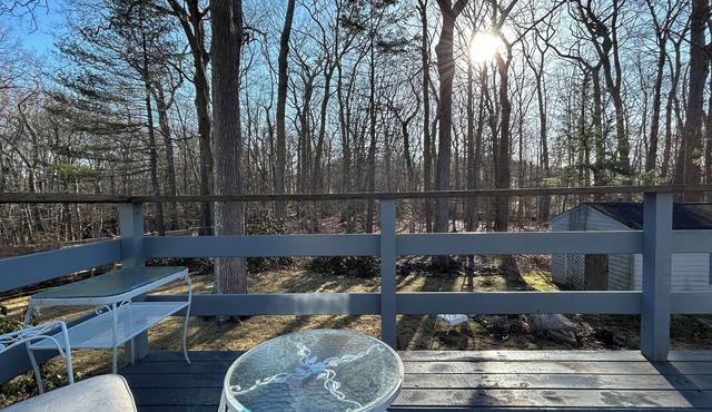Mid century 3-bedroom house with fenced in back yard steps to Rye Beach