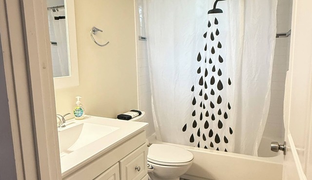 Modern 2-Bedroom in-law Apartment in Boston with Parking