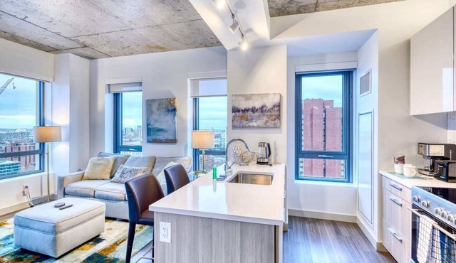Modern Apt In Kendall Square with Gym