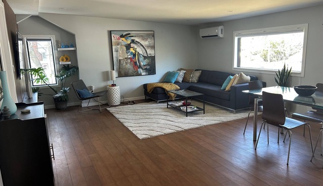 Modern newly built 1-bedroom condo, w/art, WiIFI AC in pleasant residential area
