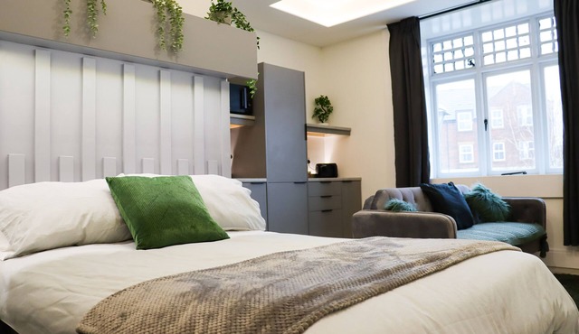 Modern Studio Apartment